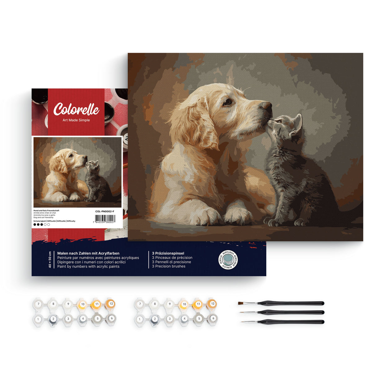 Hund und Katz Freundschaft