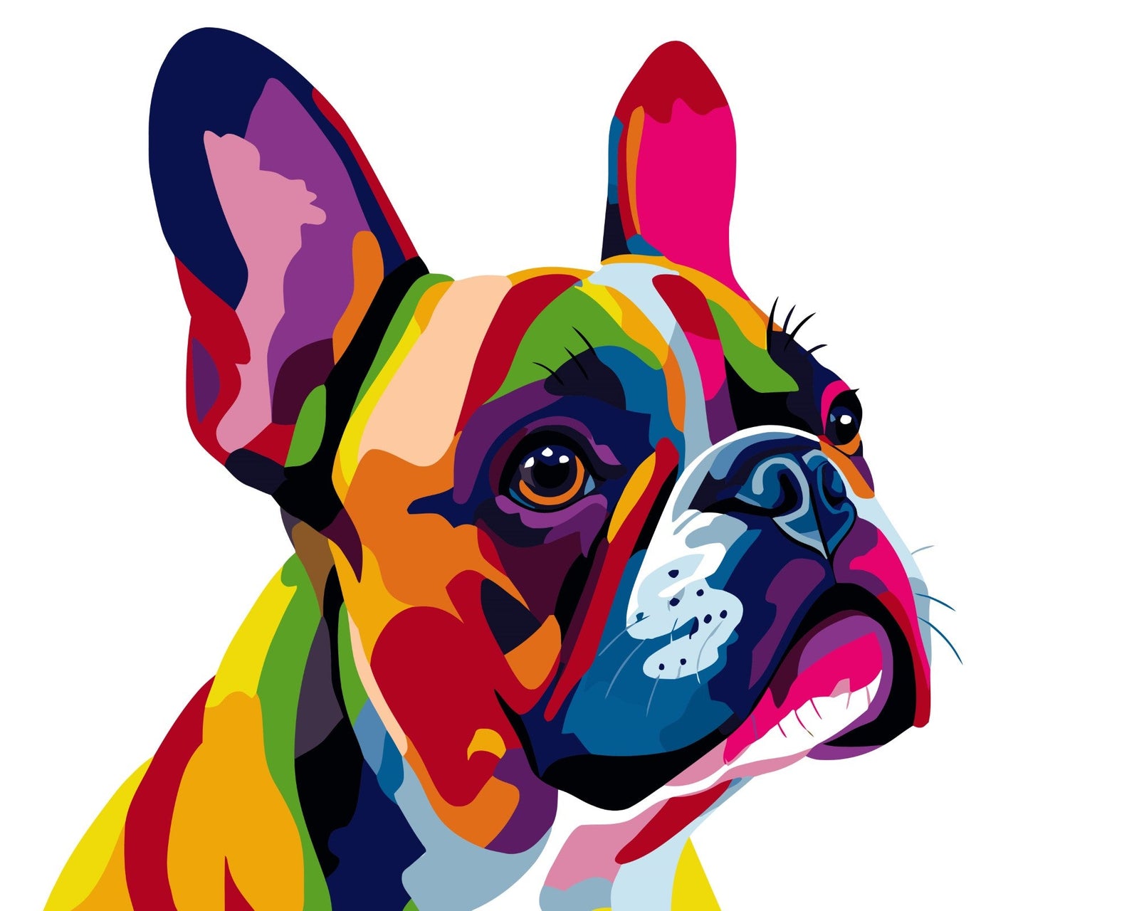 Französische Bulldogge Pop Art – Malen nach Zahlen Set für Erwachsene mit Holzrahmen