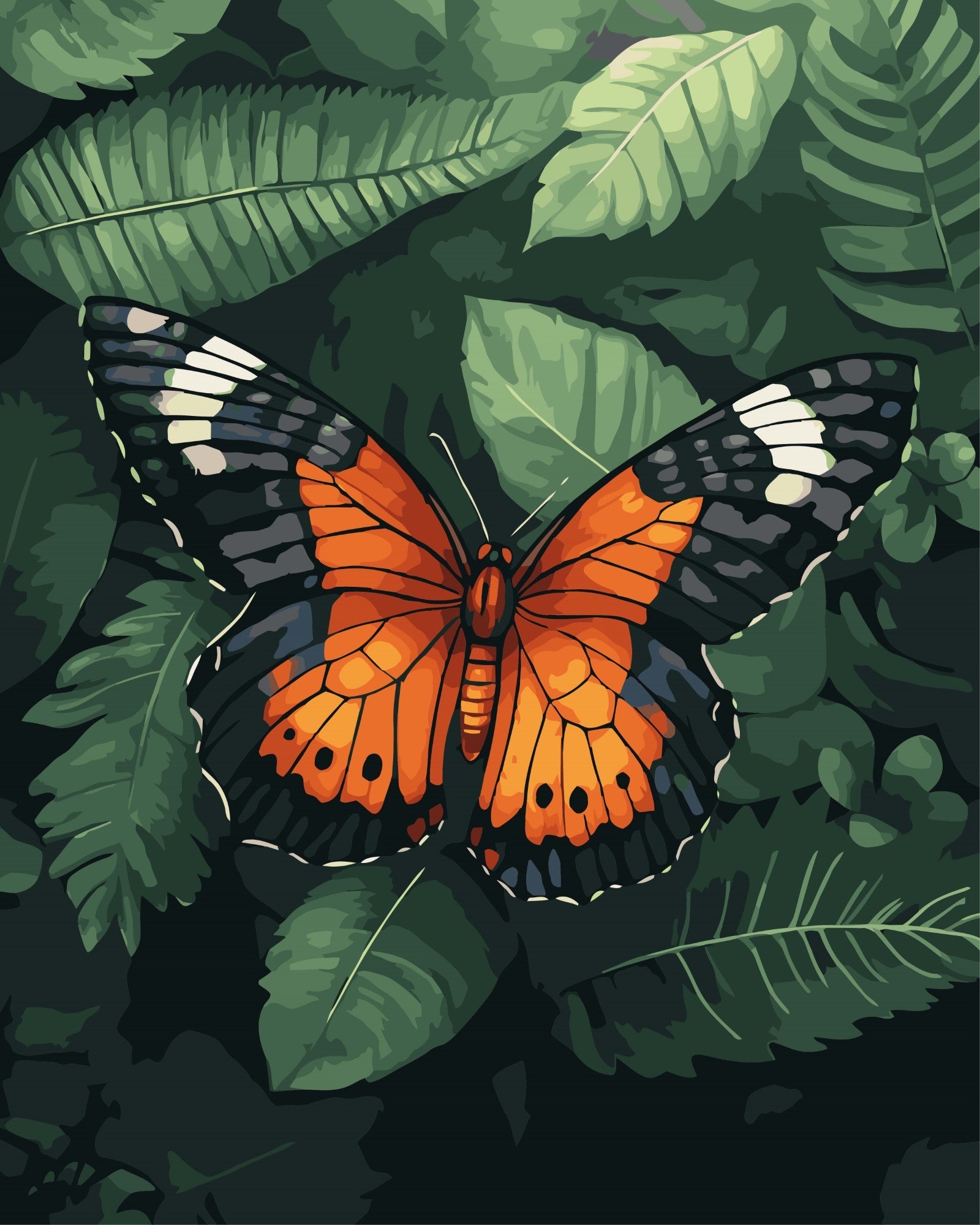 Bunt verspielte Weltkarte – Malen nach Zahlen Set für Erwachsene mit Holzrahmen