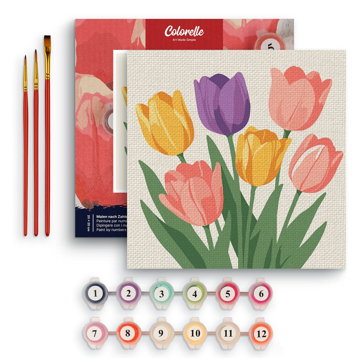 Bunte Tulpen