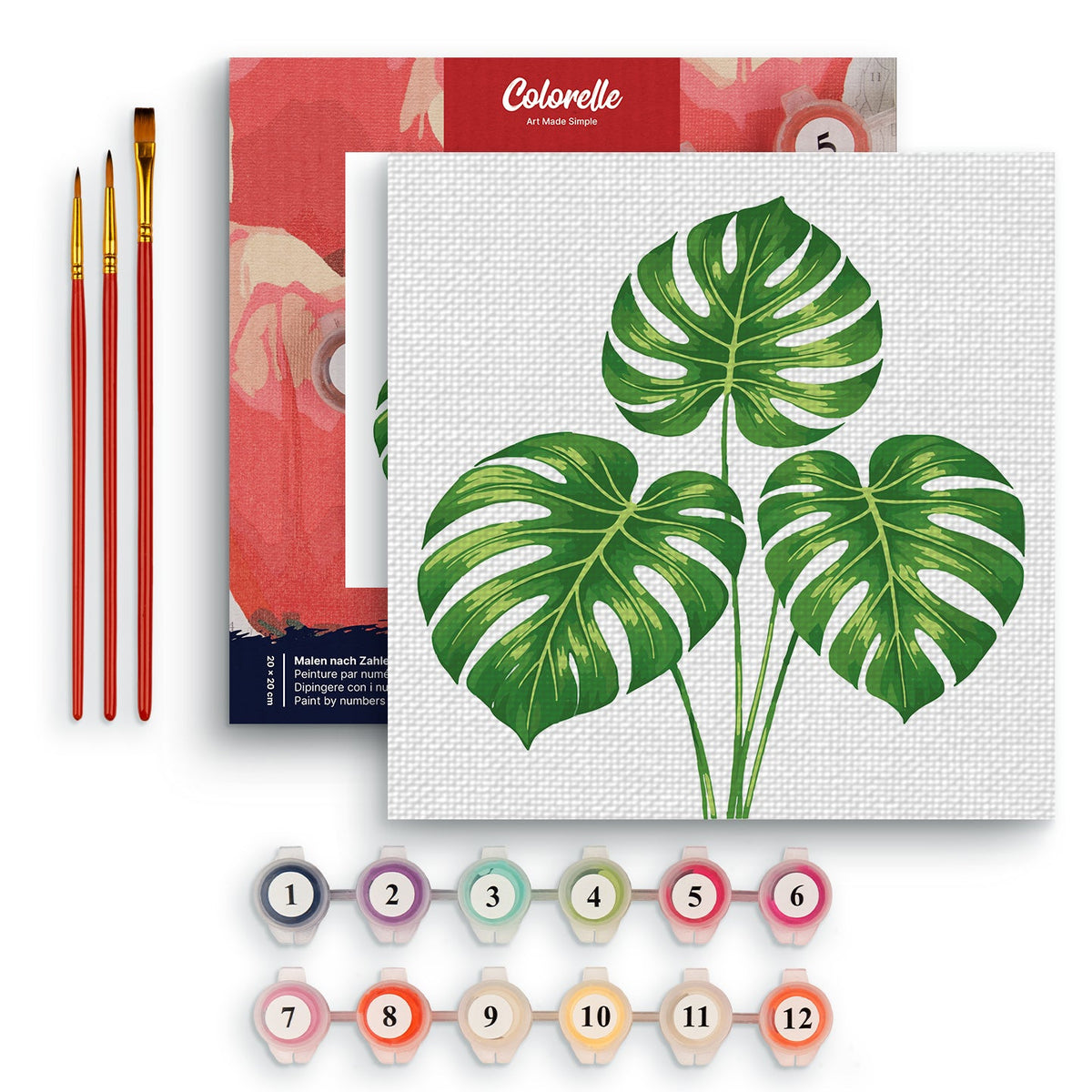 Monstera Blätter