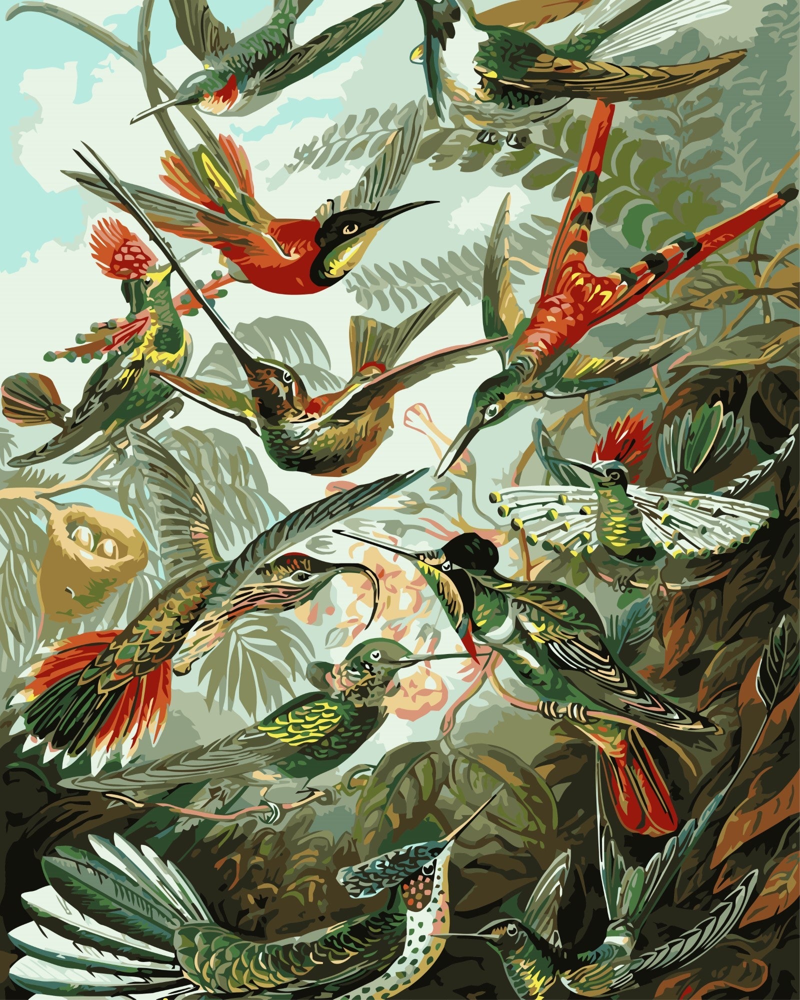 Kolibri – Ernst Haeckel – Malen nach Zahlen Set für Erwachsene mit Holzrahmen