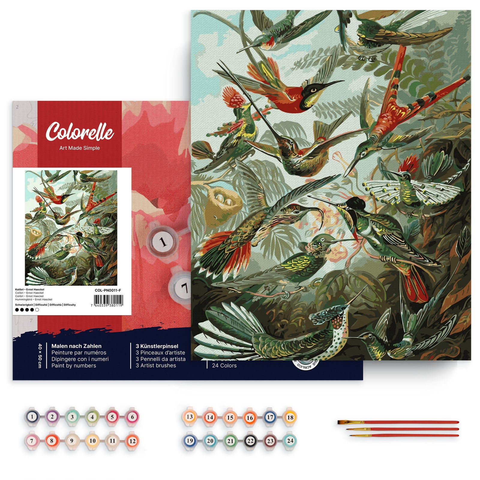 Kolibri – Ernst Haeckel – Malen nach Zahlen Set für Erwachsene mit Holzrahmen