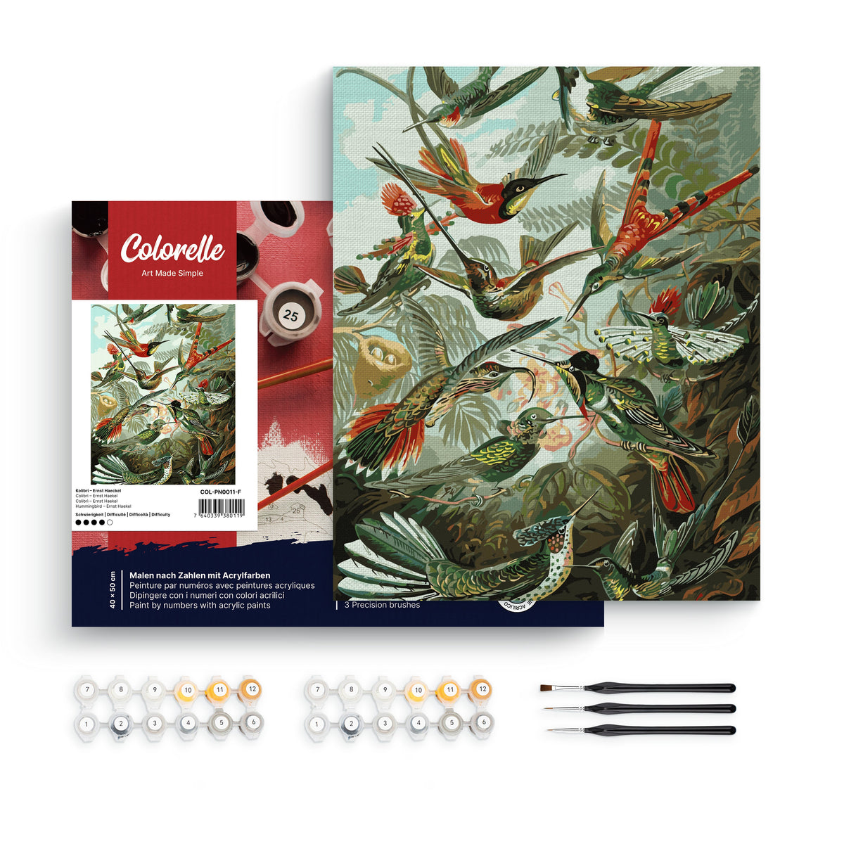Kolibri – Ernst Haeckel