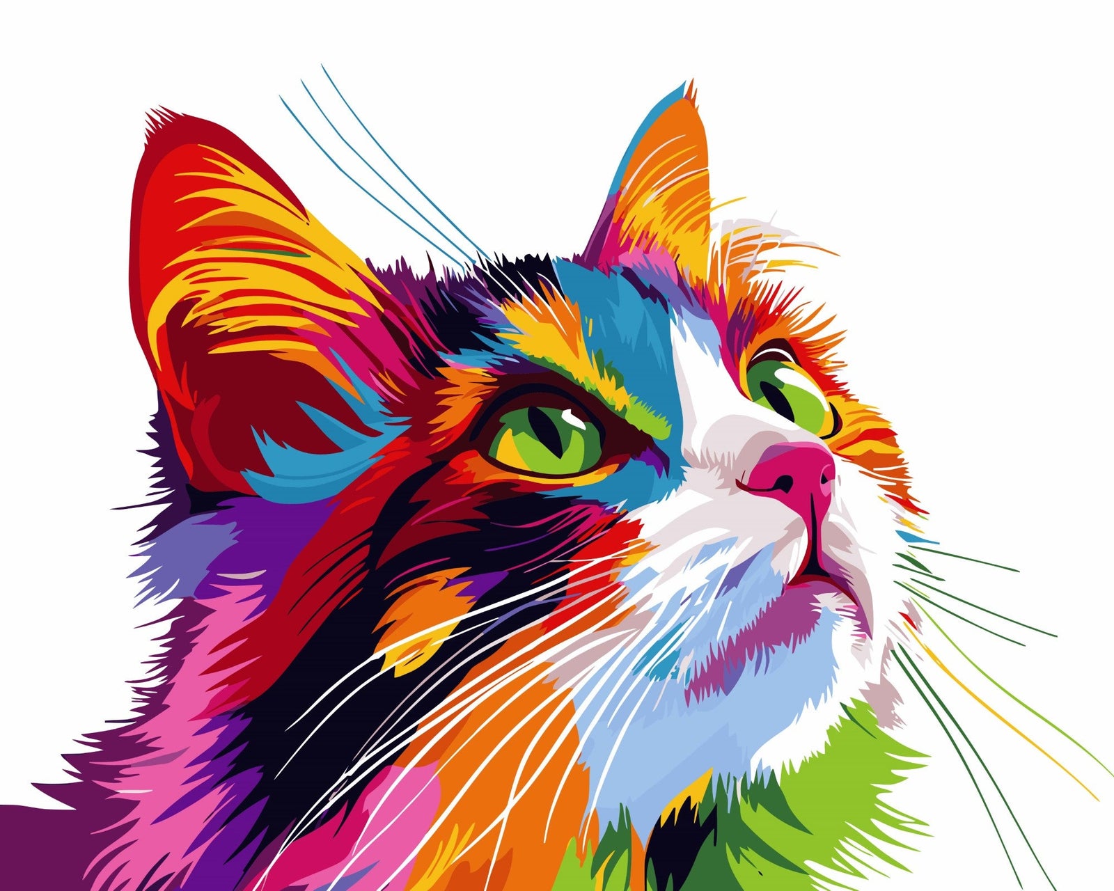 Schmusekatze Pop Art – Malen nach Zahlen Set für Erwachsene mit Holzrahmen